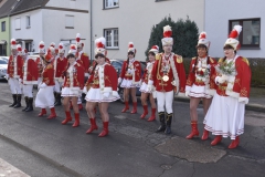 rosenmontagszug-001