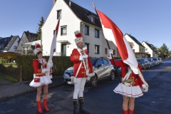 rosenmontagszug-006