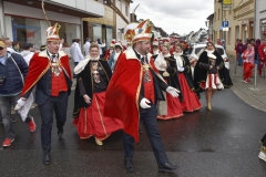 rosenmontagszug-020