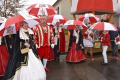 rosenmontagszug-034