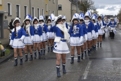 rosenmontagszug-064