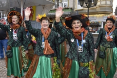 rosenmontagszug-085